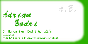 adrian bodri business card
